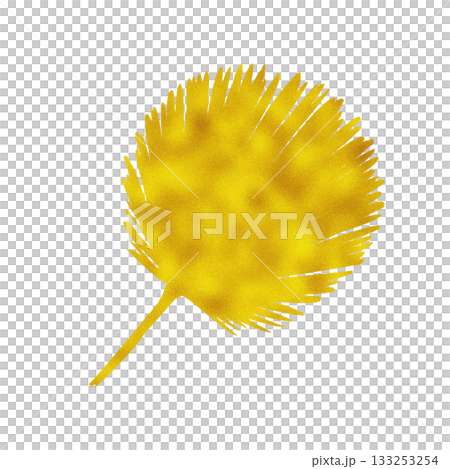 Golden palm leaf hand painted watercolor illustration isolated on white. High quality image perfect for cards, posters, stickers, eco materials, Christmas decoration design. Exotic plants clip art 133253254