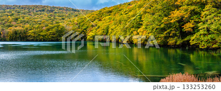 蔦沼の紅葉 パノラマ【青森県青森市】 蔦沼の紅葉 パノラマ【青森県青森市】 133253260