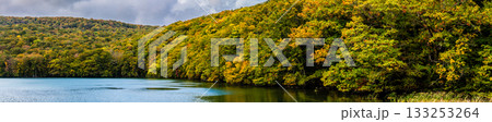 蔦沼の紅葉　パノラマ【青森県青森市】 133253264