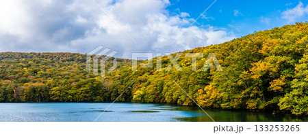 蔦沼の紅葉 パノラマ【青森県青森市】 蔦沼の紅葉 パノラマ【青森県青森市】 133253265