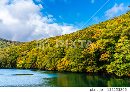 蔦沼の紅葉【青森県青森市】 蔦沼の紅葉【青森県青森市】 133253266