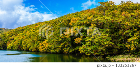 蔦沼の紅葉　パノラマ【青森県青森市】 133253267