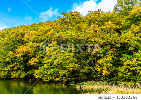 蔦沼の紅葉【青森県青森市】 蔦沼の紅葉【青森県青森市】 133253268
