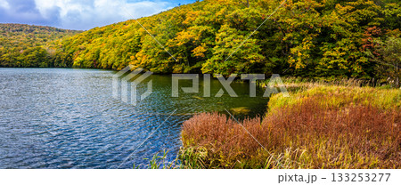 蔦沼の紅葉 パノラマ【青森県青森市】 蔦沼の紅葉 パノラマ【青森県青森市】 133253277
