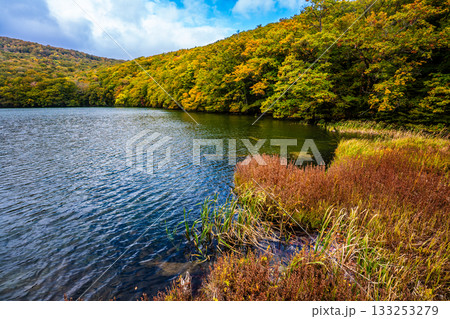 蔦沼の紅葉【青森県青森市】 蔦沼の紅葉【青森県青森市】 133253279