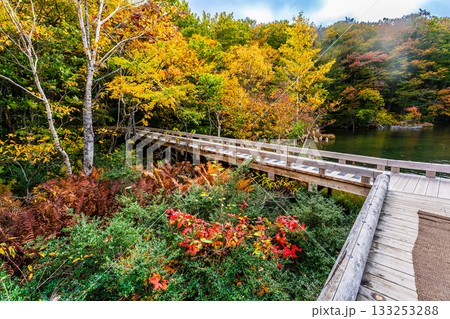 蔦沼の紅葉【青森県青森市】 133253288