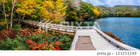 蔦沼の紅葉　パノラマ【青森県青森市】 133253289