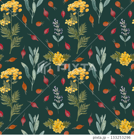 Sage, blue tansy, rose hip seamless pattern on dark green. Hand painted in watercolor. Herbal shop art for packages of an essential oil, herbal teas, infusions, wallpaper, wrapping paper, textile 133253296