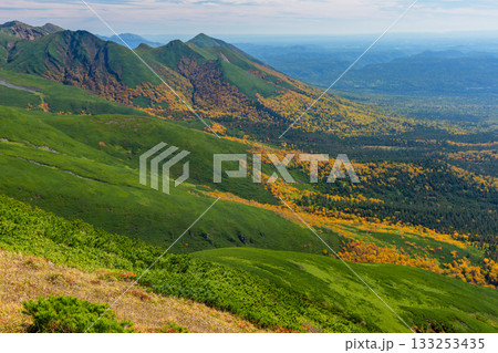富良野岳登山道から望む紅葉に染まる山々の大パノラマ（北海道） 133253435