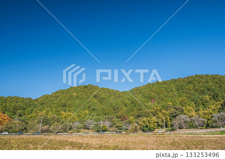 麓の田園地帯から望む安土山方面の景観 滋賀県近江八幡市 麓の田園地帯から望む安土山方面の景観 滋賀県近江八幡市 133253496