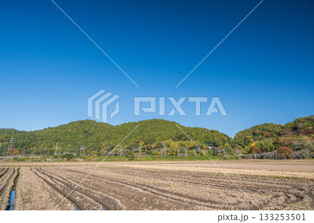 麓の田園地帯から望む安土山方面の景観　滋賀県近江八幡市 133253501