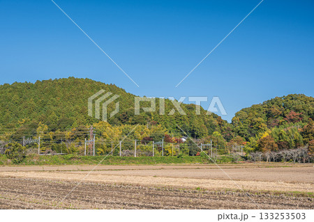 麓の田園地帯から望む安土山方面の景観　滋賀県近江八幡市 133253503