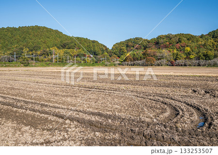 滋賀県近江八幡市安土の田園風景 133253507