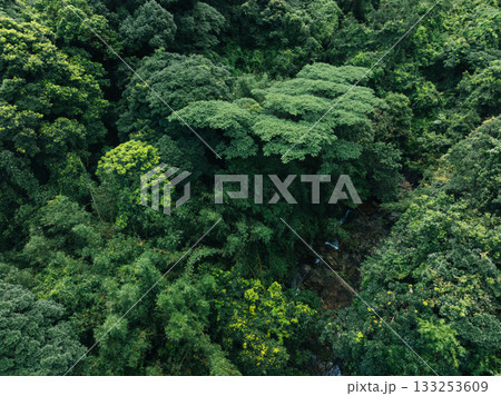 Aerial view of beautiful tropical forest mountain landscape in summer Aerial view of beautiful tropical forest mountain landscape in summer 133253609
