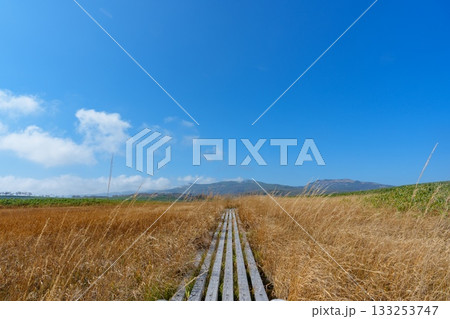 草紅葉に染まる雨竜沼湿原と木道の秋景色(北海道) 草紅葉に染まる雨竜沼湿原と木道の秋景色(北海道) 133253747