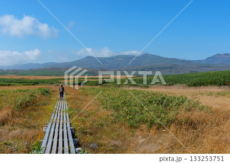 草紅葉に染まる雨竜沼湿原と木道の秋景色（北海道） 133253751