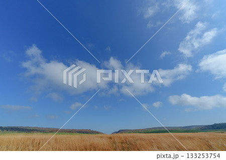 草紅葉に染まる雨竜沼湿原と木道の秋景色(北海道) 草紅葉に染まる雨竜沼湿原と木道の秋景色(北海道) 133253754