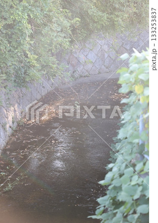 朝日に照らされる川 朝日に照らされる川 133253837