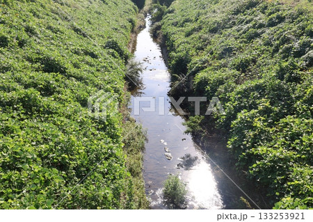 穏やかな川 133253921