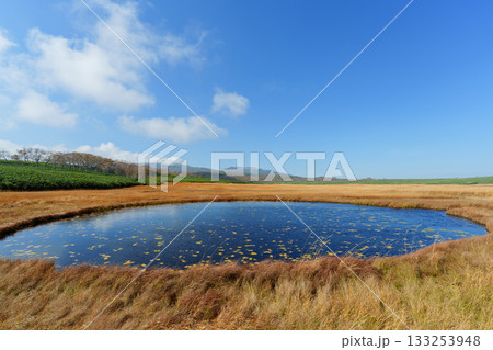 雨竜沼湿原の草紅葉と池塘が広がる秋景色（北海道） 133253948