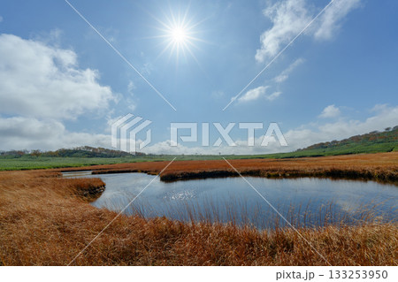 雨竜沼湿原の草紅葉と池塘が広がる秋景色(北海道) 雨竜沼湿原の草紅葉と池塘が広がる秋景色(北海道) 133253950