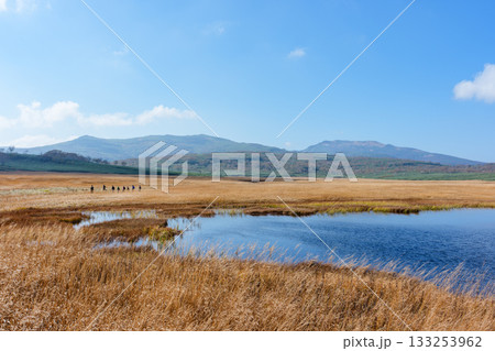 雨竜沼湿原の草紅葉と池塘が広がる秋景色（北海道） 133253962
