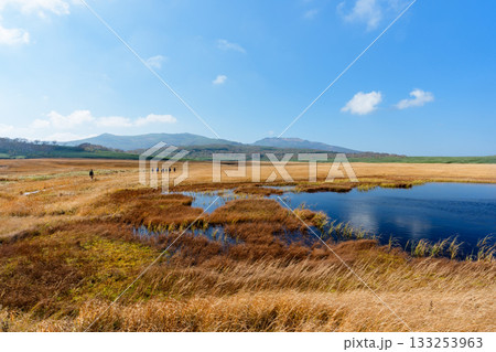 雨竜沼湿原の草紅葉と池塘が広がる秋景色（北海道） 133253963