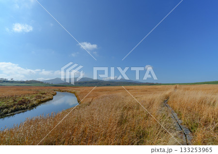 雨竜沼湿原の草紅葉と池塘が広がる秋景色（北海道） 133253965