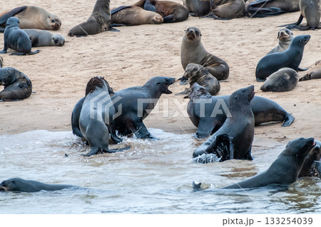 Walvis bay Namibia Walvis bay Namibia 133254039
