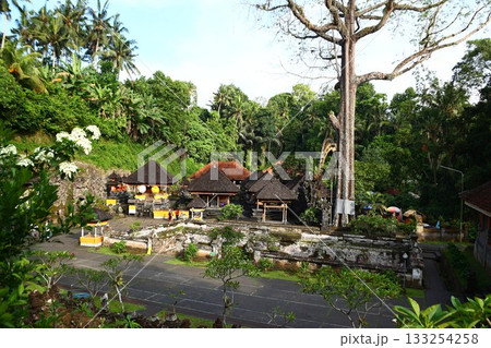 バリ島ゴアガシャ遺跡(Goa Gajah)インドネシア バリ島ゴアガシャ遺跡(Goa Gajah)インドネシア 133254258