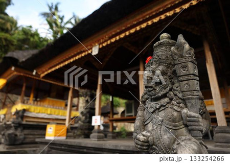 バリ島ゴアガシャ遺跡(Goa Gajah)インドネシア バリ島ゴアガシャ遺跡(Goa Gajah)インドネシア 133254266
