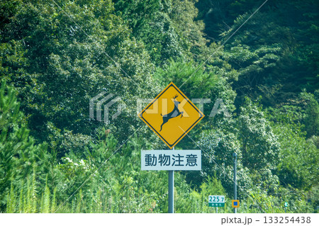 日本の道路標識（動物が飛び出すおそれあり）シカ 133254438