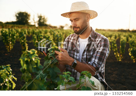 Quality control, with digital tablet. Farmer is on the agricultural field Quality control, with digital tablet. Farmer is on the agricultural field 133254560