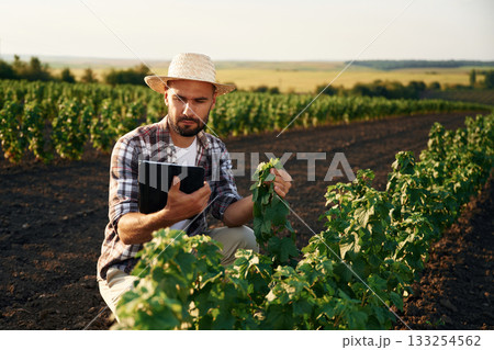 Quality control, with digital tablet. Farmer is on the agricultural field 133254562