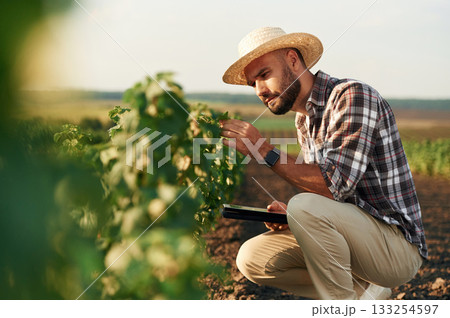 Digital tablet in hands. Farmer is on the agricultural field Digital tablet in hands. Farmer is on the agricultural field 133254597