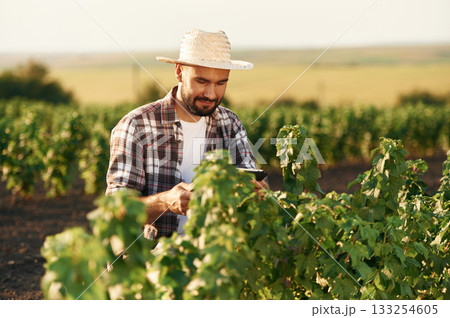 Growth process, looking at the plants. Farmer is on the agricultural field 133254605