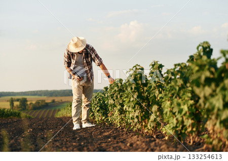 Standing and holding digital tablet. Farmer is on the agricultural field Standing and holding digital tablet. Farmer is on the agricultural field 133254613