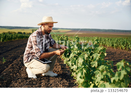 Sitting, checking the plant. Farmer is on the agricultural field 133254670