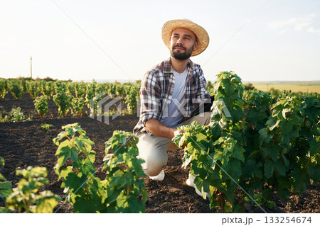 Sitting, checking the plant. Farmer is on the agricultural field Sitting, checking the plant. Farmer is on the agricultural field 133254674