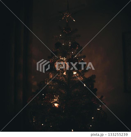 ライトアップされたクリスマスツリー 133255239