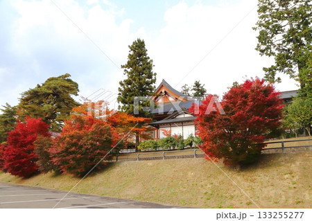 紅葉に包まれる毛越寺の本堂 133255277