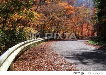 小田深山渓谷 帰り道で紅葉狩り (愛媛県) 小田深山渓谷 帰り道で紅葉狩り (愛媛県) 133255302