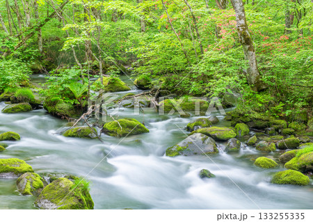 青森県十和田市　夏の奥入瀬渓流（渓流イメージ） 133255335