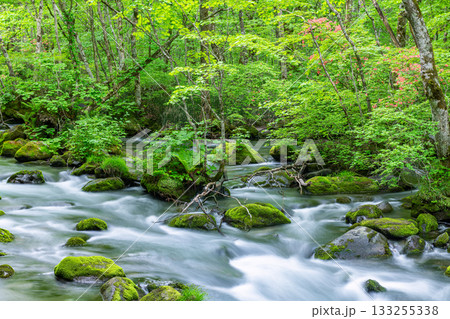 青森県十和田市　夏の奥入瀬渓流（渓流イメージ） 133255338