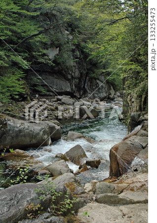 昇仙峡の上流、巨岩累々の野猿谷の渓流釣り 昇仙峡の上流、巨岩累々の野猿谷の渓流釣り 133255473