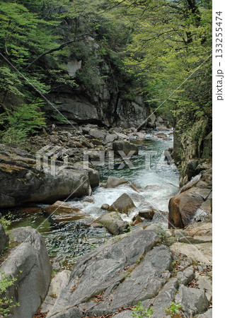 昇仙峡の上流、巨岩累々の野猿谷の渓流釣り 133255474