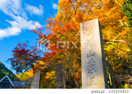 高尾山ケーブルカー清滝駅付近の紅葉の風景 高尾山ケーブルカー清滝駅付近の紅葉の風景 133255853
