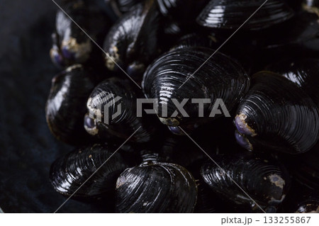 皿に盛られた大きなヤマトシジミ　黒背景 133255867