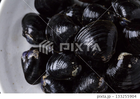 皿に盛られた大きなヤマトシジミ　黒背景 133255904