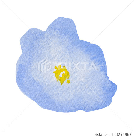 Watercolor pastel light blue wild flower isolated illustration, floral wedding and greeting element 133255962